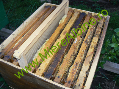 fagure artificial